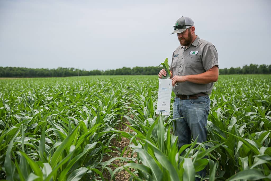 tissue-sample agroliquid staff member taking a tissue sample