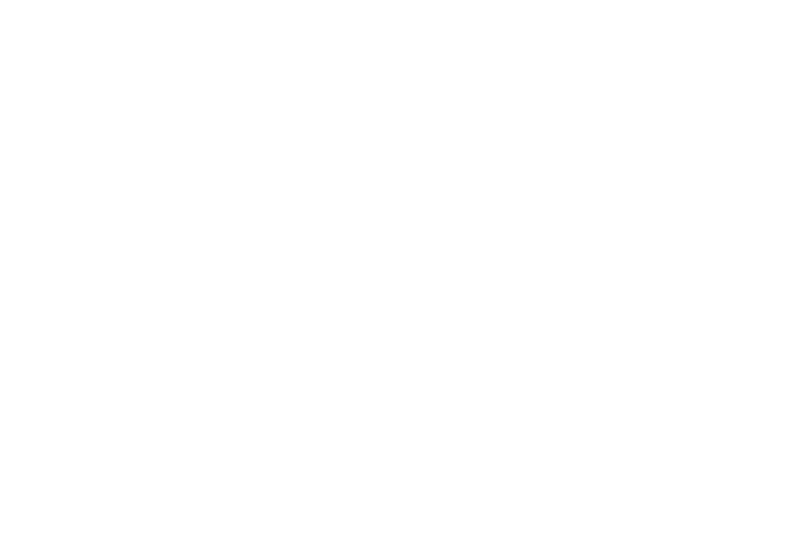 Back to Basics Logo_white Back to Basics